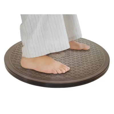 2999 DISCO GIRATORIO DE TRANSFERENCIA